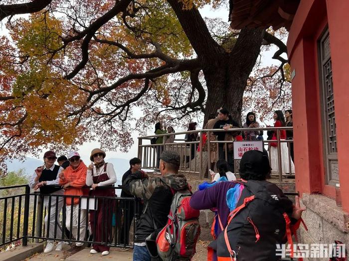 青岛两个神秘景点…突然爆火！半路就开始堵车，连800年不运动的懒人都出门了！网友：美成这样，你俩可真能藏