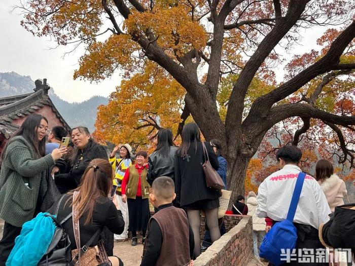 青岛两个神秘景点…突然爆火！半路就开始堵车，连800年不运动的懒人都出门了！网友：美成这样，你俩可真能藏