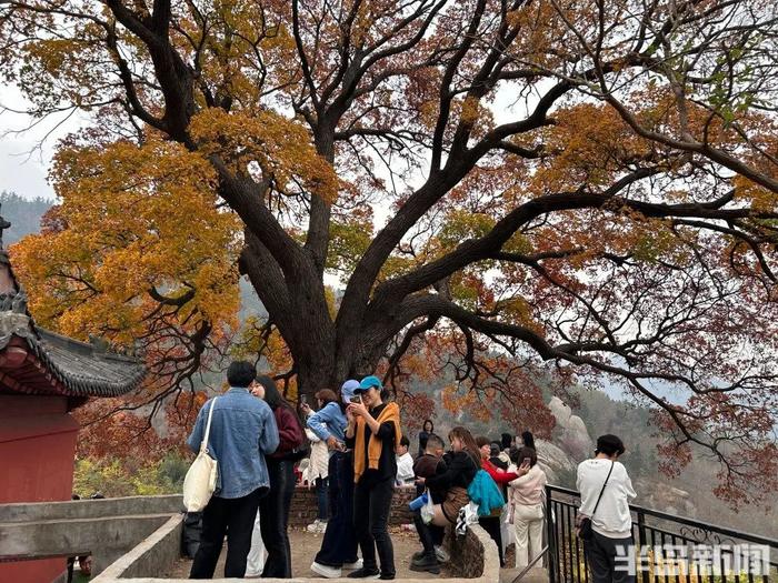 青岛两个神秘景点…突然爆火！半路就开始堵车，连800年不运动的懒人都出门了！网友：美成这样，你俩可真能藏