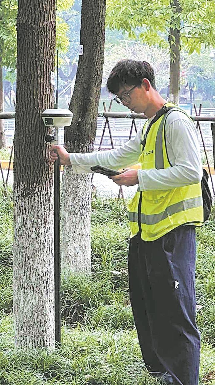 一树一表一档