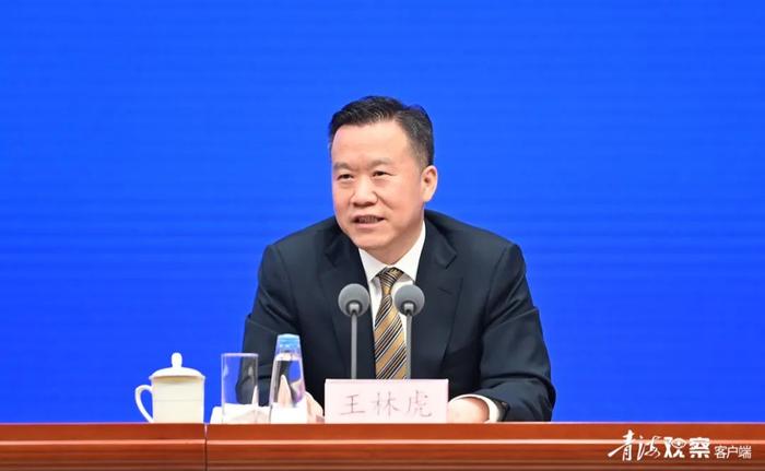 王林虎任湖北省委常委、政法委书记