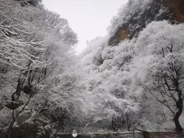 新鲜出炉！崆峒山今冬首场雪景→