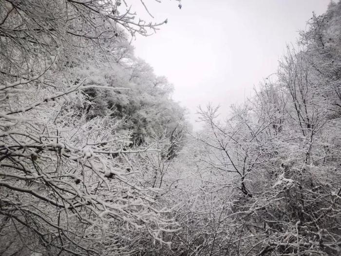 新鲜出炉！崆峒山今冬首场雪景→