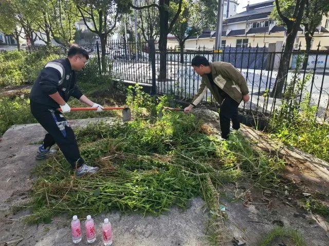 云南近期出现了！看到立即上报