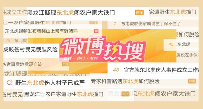 《水浒传》里的武松真能把老虎打死吗？