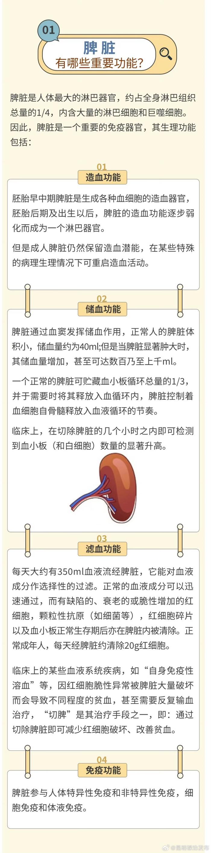 脾脏受损有哪些迹象？