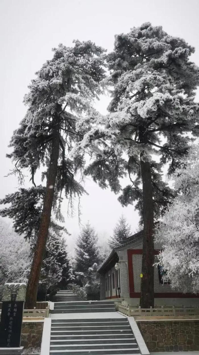 新鲜出炉！崆峒山今冬首场雪景→