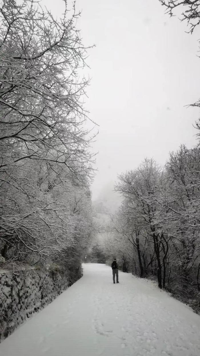 新鲜出炉！崆峒山今冬首场雪景→