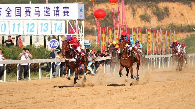 嗨嗨嗨！贵州“村”字号文旅IP上新啦，来看马背上的“速度与激情”→