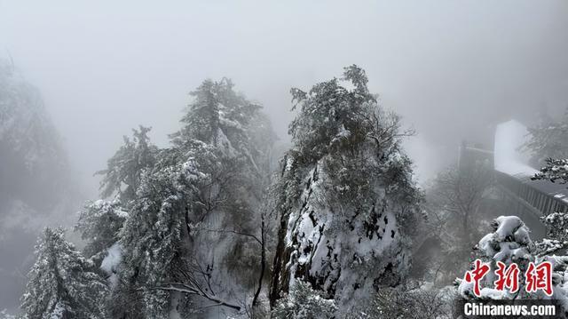 洛阳老君山雪后景色 好似一幅丹青水墨画