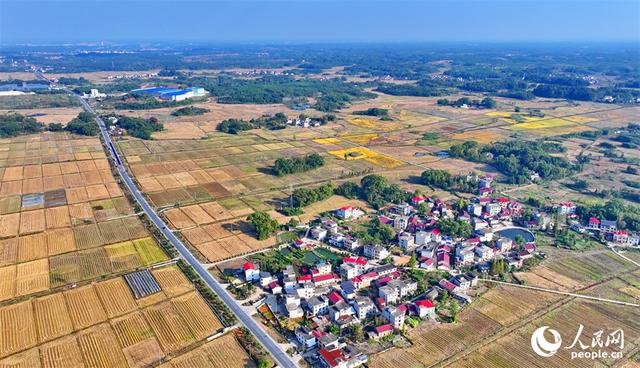 江西宜丰：冬闲时节建设高标准农田