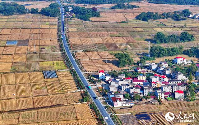 江西宜丰：冬闲时节建设高标准农田