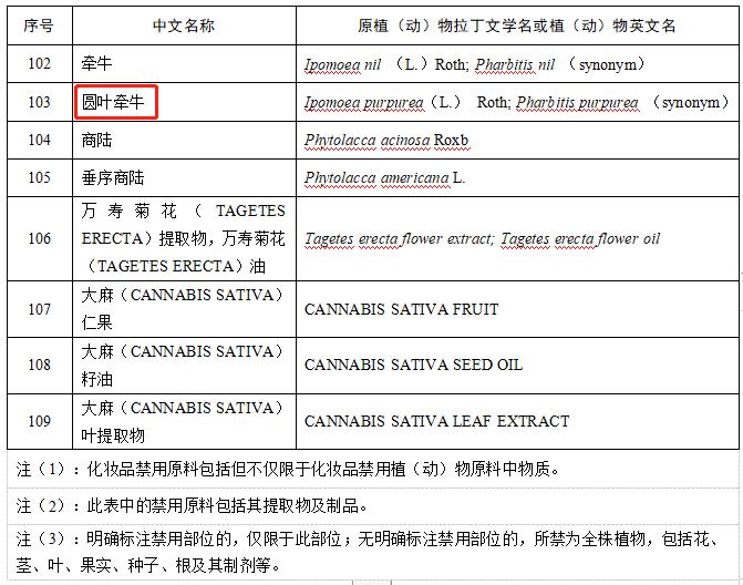 新闻多一度丨官方通报百雀羚不存在违规行为 圆叶牵牛到底是什么？