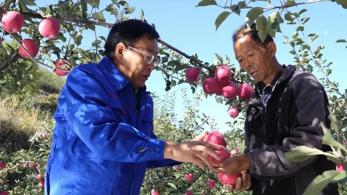 【节目单】《劳模纪录工程》丨小苹果“链”出大产业