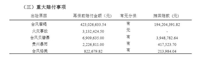 单季净亏1.73亿！鼎和财险换将，百亿保费目标能否实现？