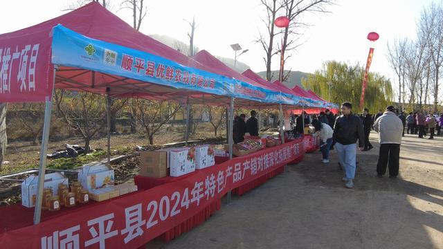 河北顺平：太行步道“解锁”农文旅融合新场景