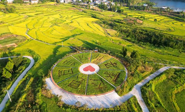 农业发展多点开花！四川省达州市达川区打造中国式现代化乡村振兴样板