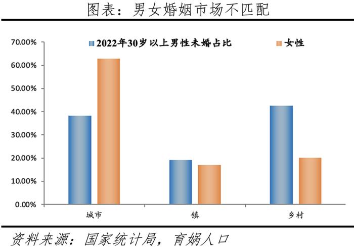 中国人口形势报告2024