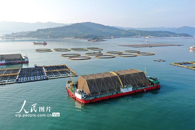 福建连江：深耕现代化“海上粮仓”