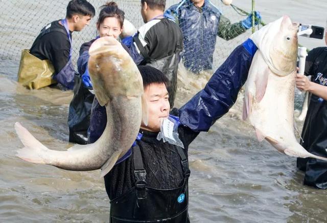 全校师生免费吃鱼！又是别人家的学校