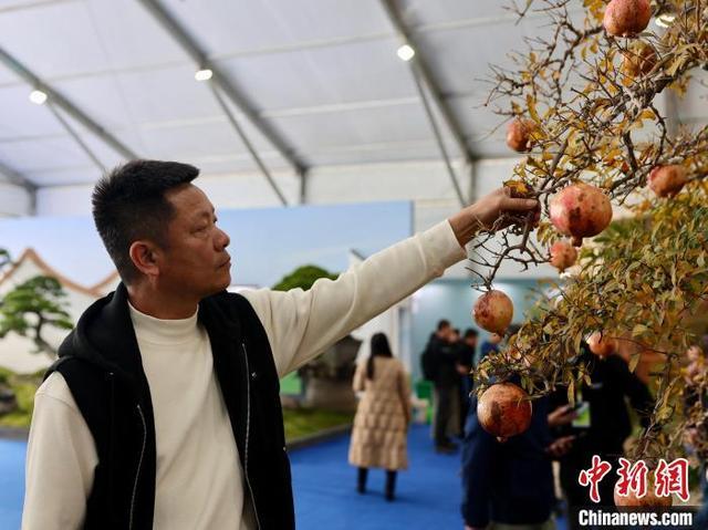 探访第二十二届中国（金华）花卉苗木博览会