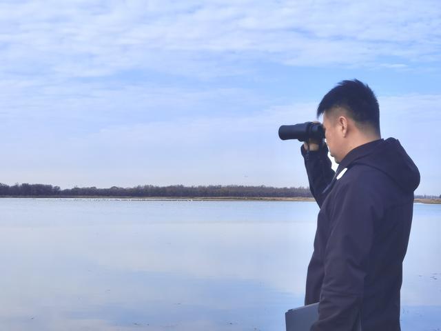 沿黄湿地的灵动与野趣