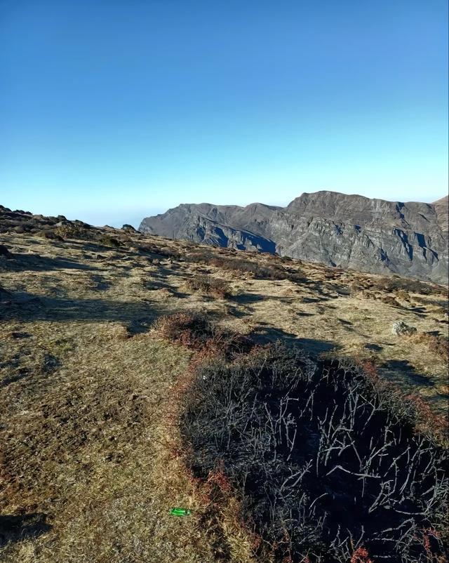 昆明大牯牛山“游客野外生火”处罚过轻？律师：毁损不足入罪