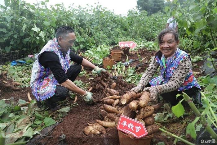 拼多多Q3营收994亿元，继续加大投入“新质供给”“电商西进”建设