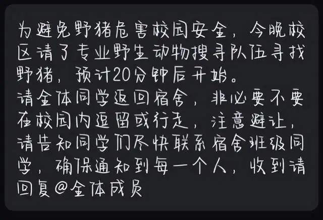 武汉一大学内野猪横冲直撞…