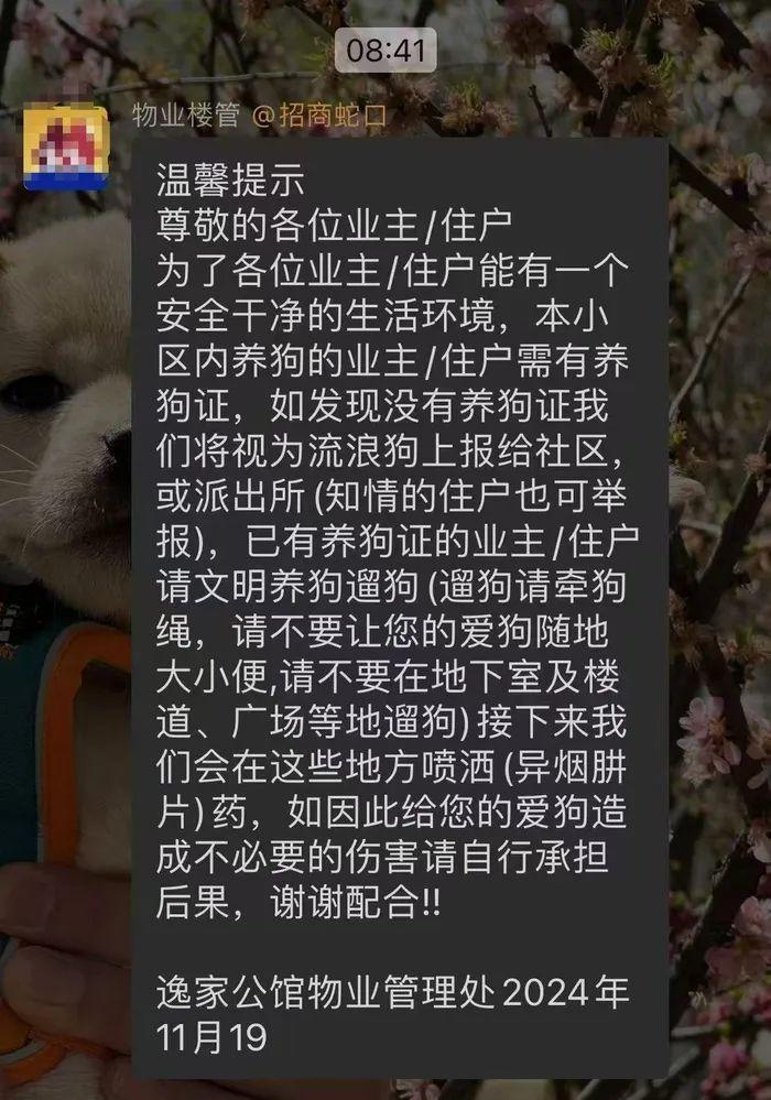 山东济南一小区发通知称打算下药“毒狗”，物业回应：系楼管私自发布通知