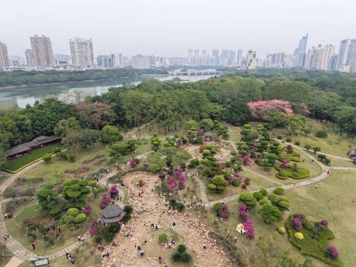 广西未来三天刮风下雨，局地气温“跳水”超10℃