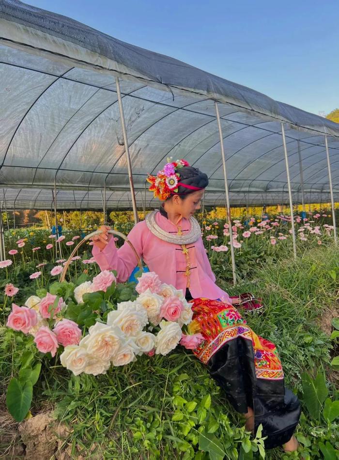 “要不，回家种花？” | 在云南样样好