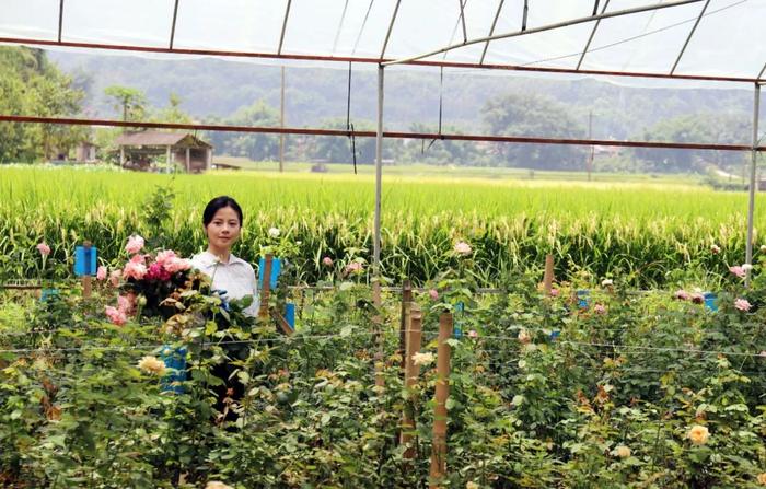 “要不，回家种花？” | 在云南样样好