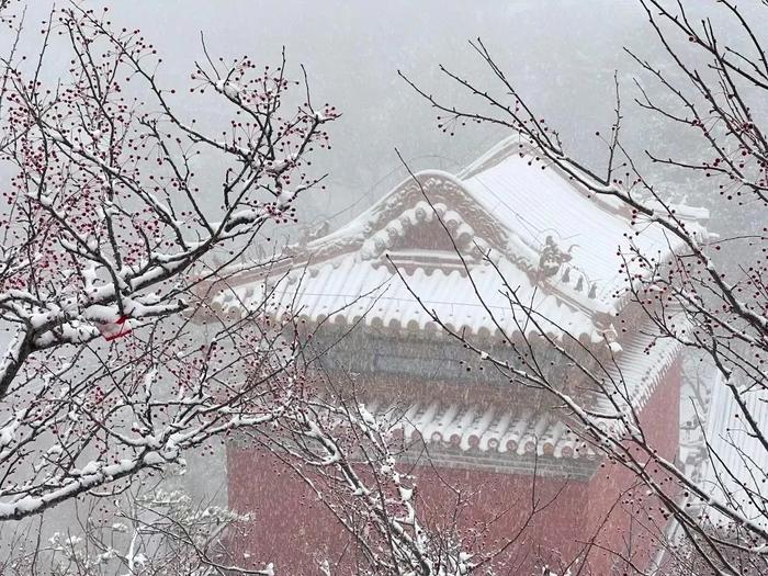 山东寒潮大风双预警持续！这里已经降下初雪，本周最新天气→