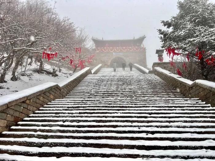 山东寒潮大风双预警持续！这里已经降下初雪，本周最新天气→