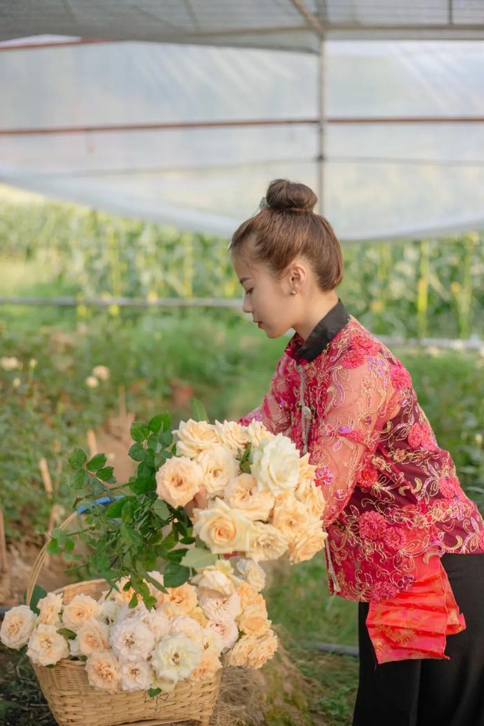 “要不，回家种花？” | 在云南样样好