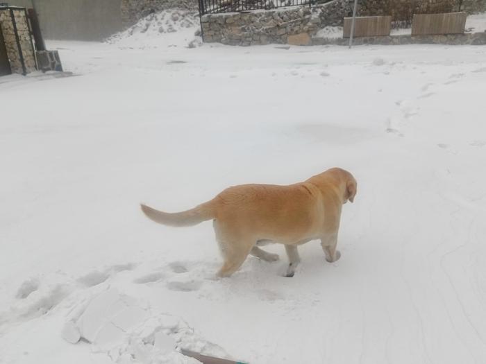 昨夜至今北京出现雨雪天气，算得上今冬初雪吗？