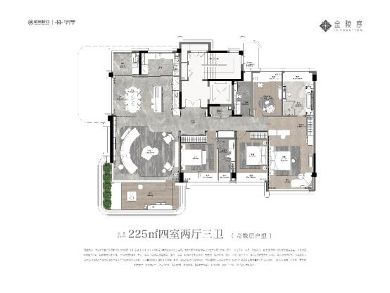 金陵序销许已领，本周末摇号开盘，续写梧桐树下的洋房风情！