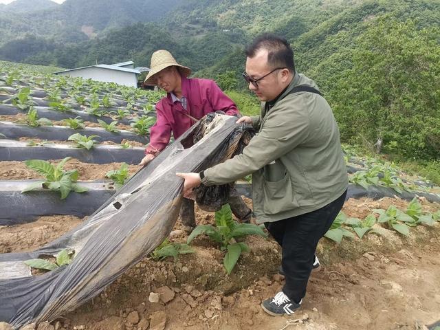 郧西县局：在基层一线的疾风中争做劲草青年