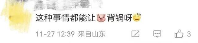 羽绒服涨价 为什么是猪的错？