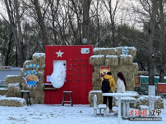 沈阳市和平区：当非遗剪纸遇见冰雪瑞士卷