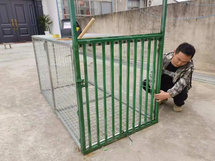 野猪进城,猎捕野猪为什么这么难?