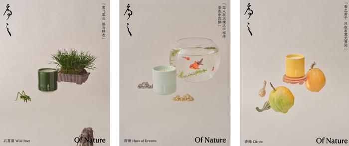 设计师陈序之发布新香氛品牌，安踏新鞋取灵感来自丝路文明｜是日美好事物