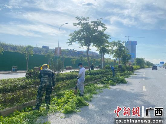 广西隆林持续提升精细化管理水平 推动城市管理高质量发展