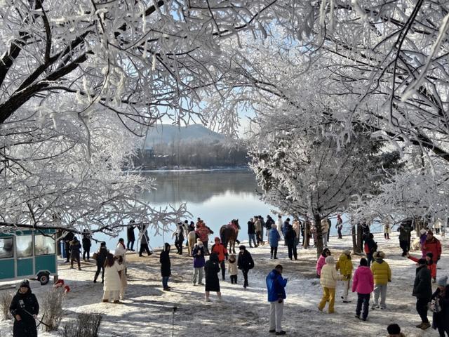 吉林市小雾凇岛：“五星级”雾凇盛景引客来