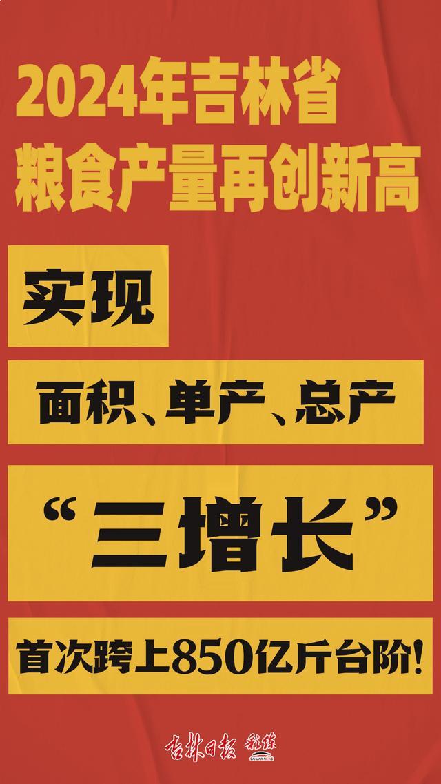 早八条｜8只巴布亚企鹅首次亮相长春／请查收！最全的长白山至周边景区景点公共交通计划表