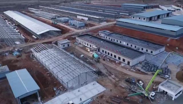 赤峰市喀喇沁旗这一养殖项目即将建成，肉牛存栏量可达3000头