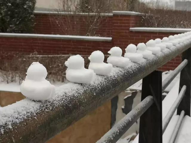 内蒙古的雪，应该这样玩儿~