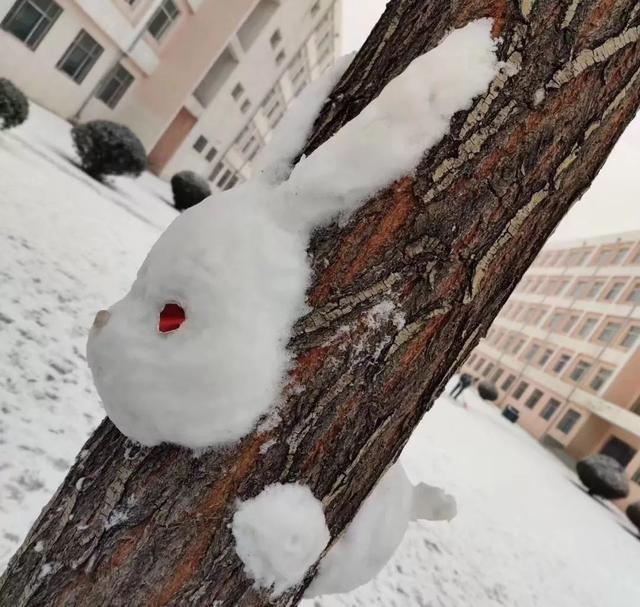 内蒙古的雪，应该这样玩儿~