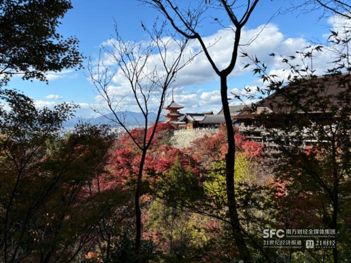 华人在日本：通胀抵消了增长丨消费现场